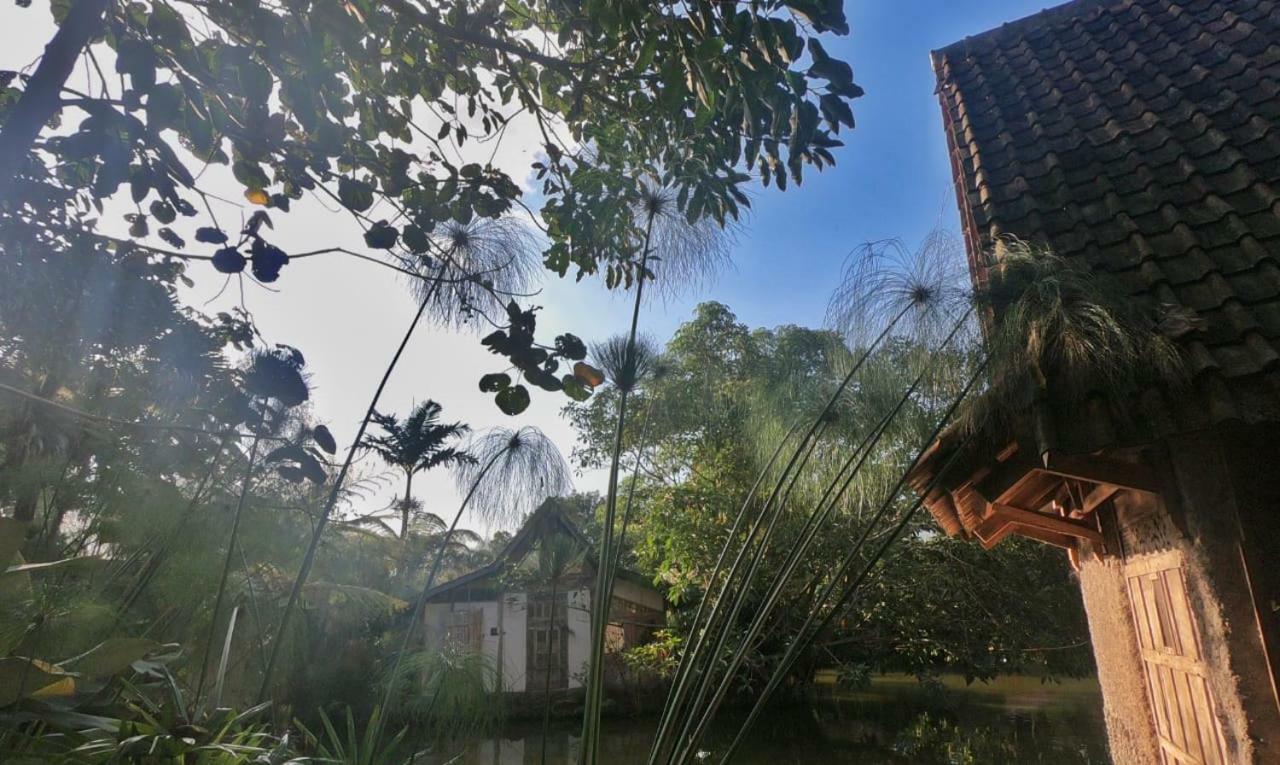 Sapulidi Cafe, Gallery & Resort 렘뱅 외부 사진